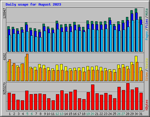 Daily usage for August 2023