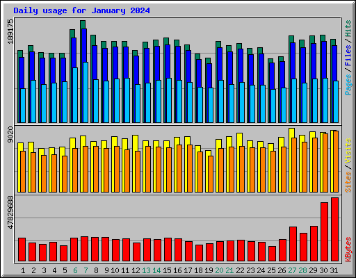 Daily usage for January 2024