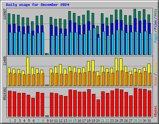 Daily usage for December 2024