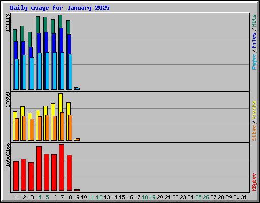 Daily usage for January 2025