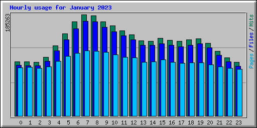 Hourly usage for January 2023