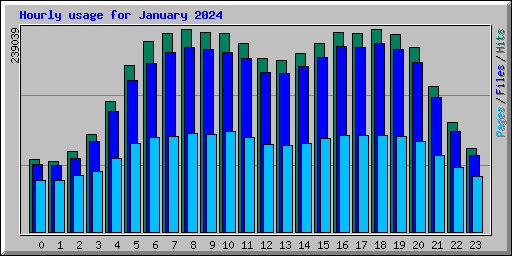 Hourly usage for January 2024