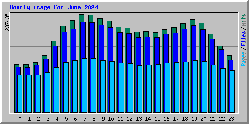 Hourly usage for June 2024