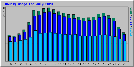 Hourly usage for July 2024