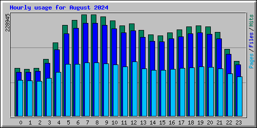 Hourly usage for August 2024