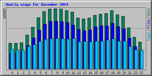 Hourly usage for December 2024