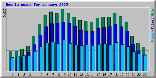 Hourly usage for January 2025